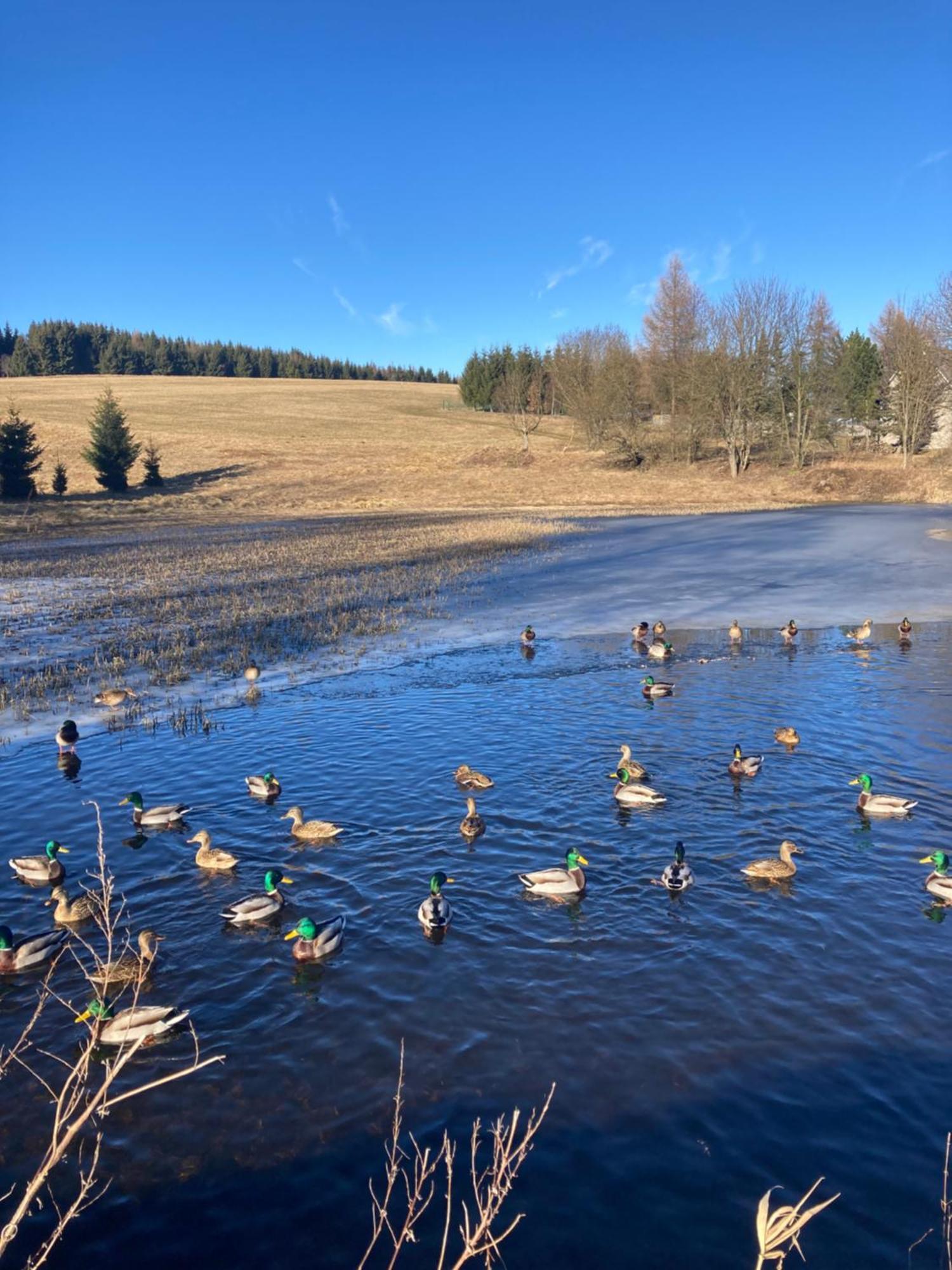 Pod Vysokym Kamenem Vejprty